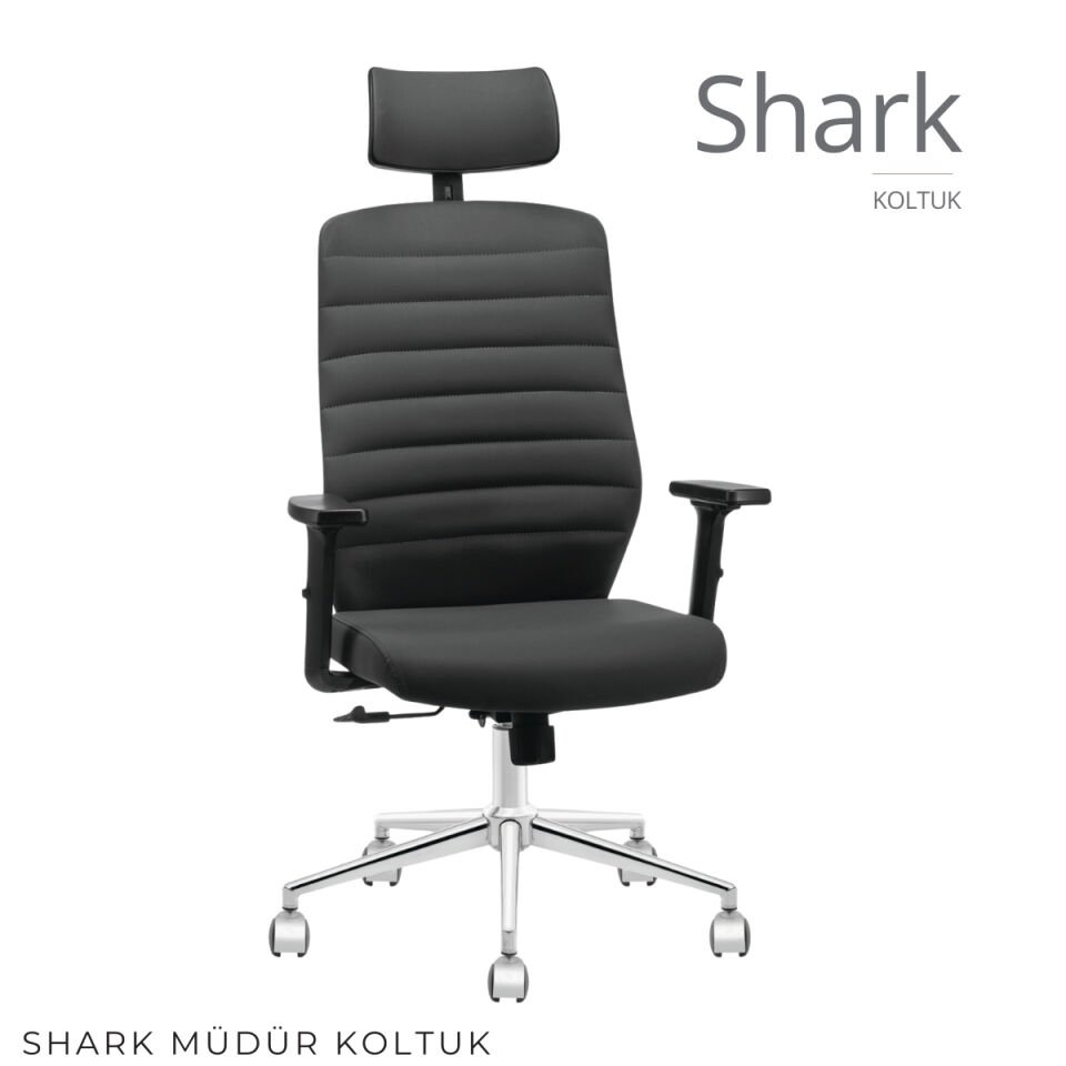 Shark Ofis Çalışma Koltuğu