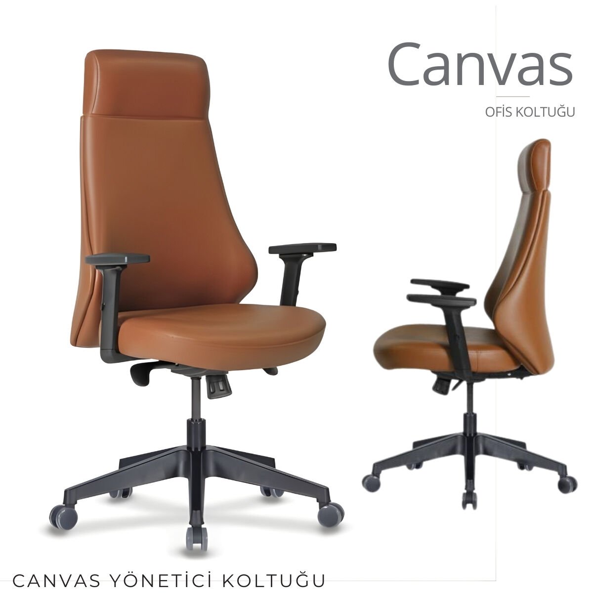 Canvas Ofis Yönetici Koltuğu